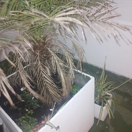 Dodo Suites Mar del Plata Bagian luar foto